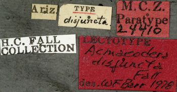 Media type: image;   Entomology 24410 Aspect: labels